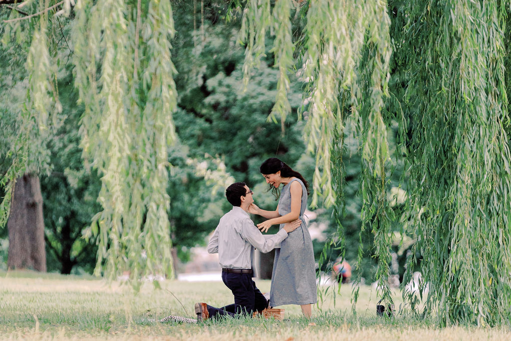 Couple getting engaged under a tree in the grounds of a chateau