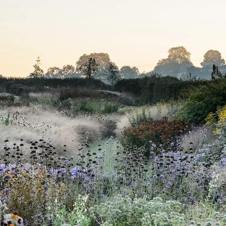 Today we're talking all about texture and design in the scope of wedding planning, and this tranquil English meadow morning is the picture perfect example of why this design element makes all the difference in the world #englishcountryside #luxurywedding #weddingdesign // Willow & Oak Events
