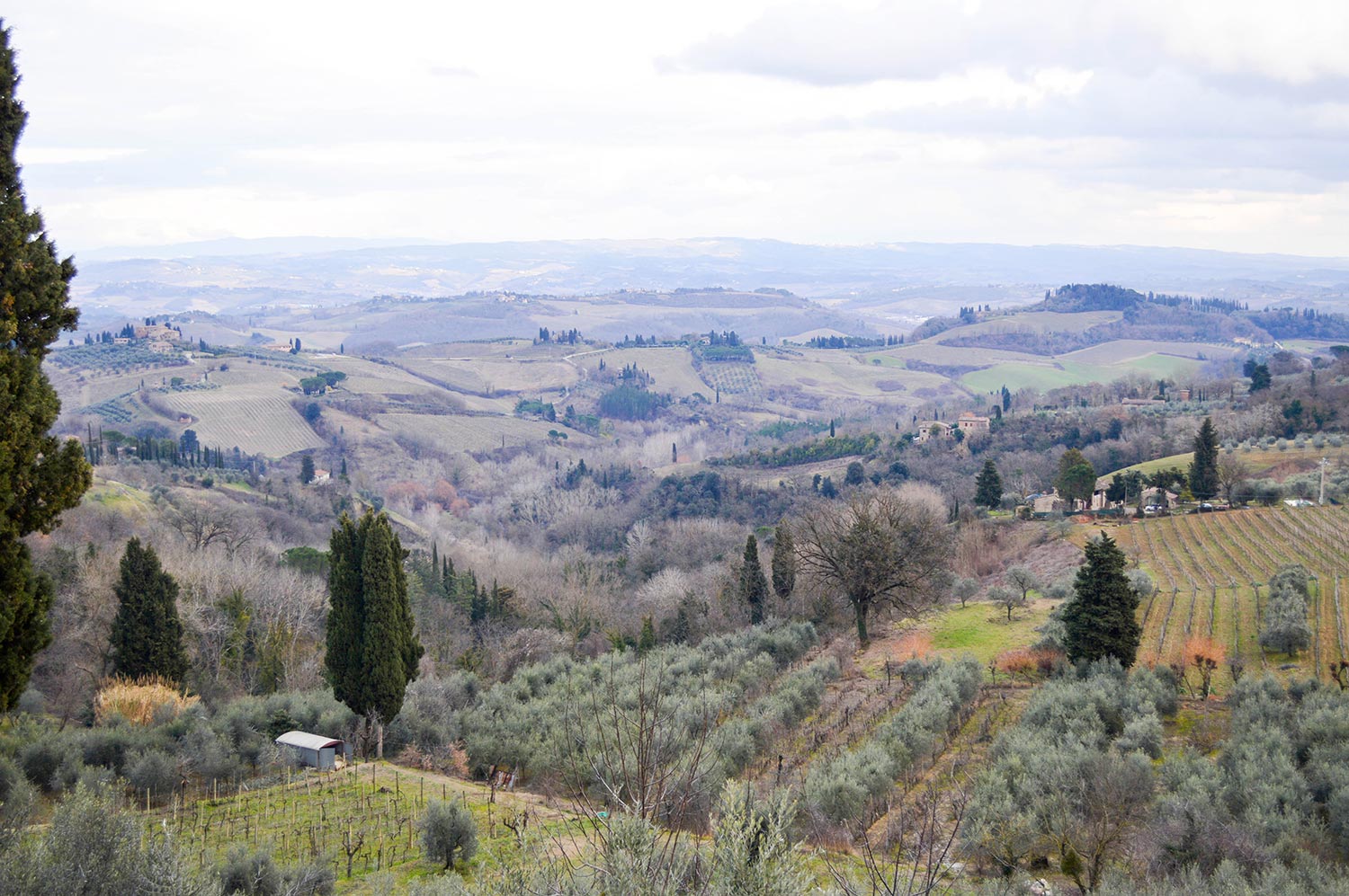 Traveling through Tuscany has become increasingly popular for modern romantics, whether it’s for honeymooning or multi-day destination weddings. Having lived in multiple Italian cities, we’re sharing our go-to spots for places to stay, restaurants to dine, activities to indulge in and other insider tips on the Willow & Oak journal with couples in mind. Read on to discover some of Italy’s best kept secrets and begin your Tuscan daydreams now! #destinationwedding #honeymoondestinations #tuscany