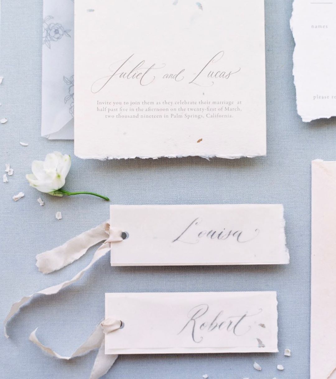Rectangular place cards with calligraphy, silk ribbon and vellum overlay by Dominique Alba, with photography by Melanie Osorio and planning by Providence & Planning