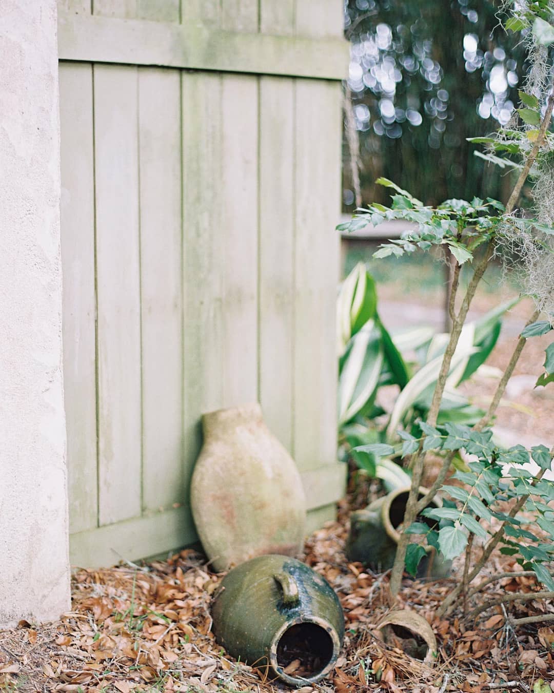 We're sharing the most important considerations to keep in mind for a private estate wedding to help you clarify your vision, determine your priorities and confirm if this wedding style is right for you. See more on the Willow & Oak Journal! #tentedwedding #outdoorwedding #athomewedding