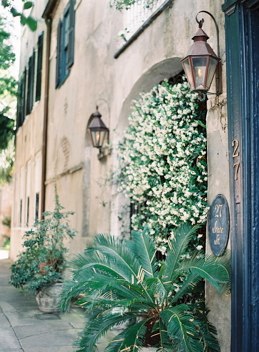 Jasmine climbing on the historic residences of State Street in Charleston