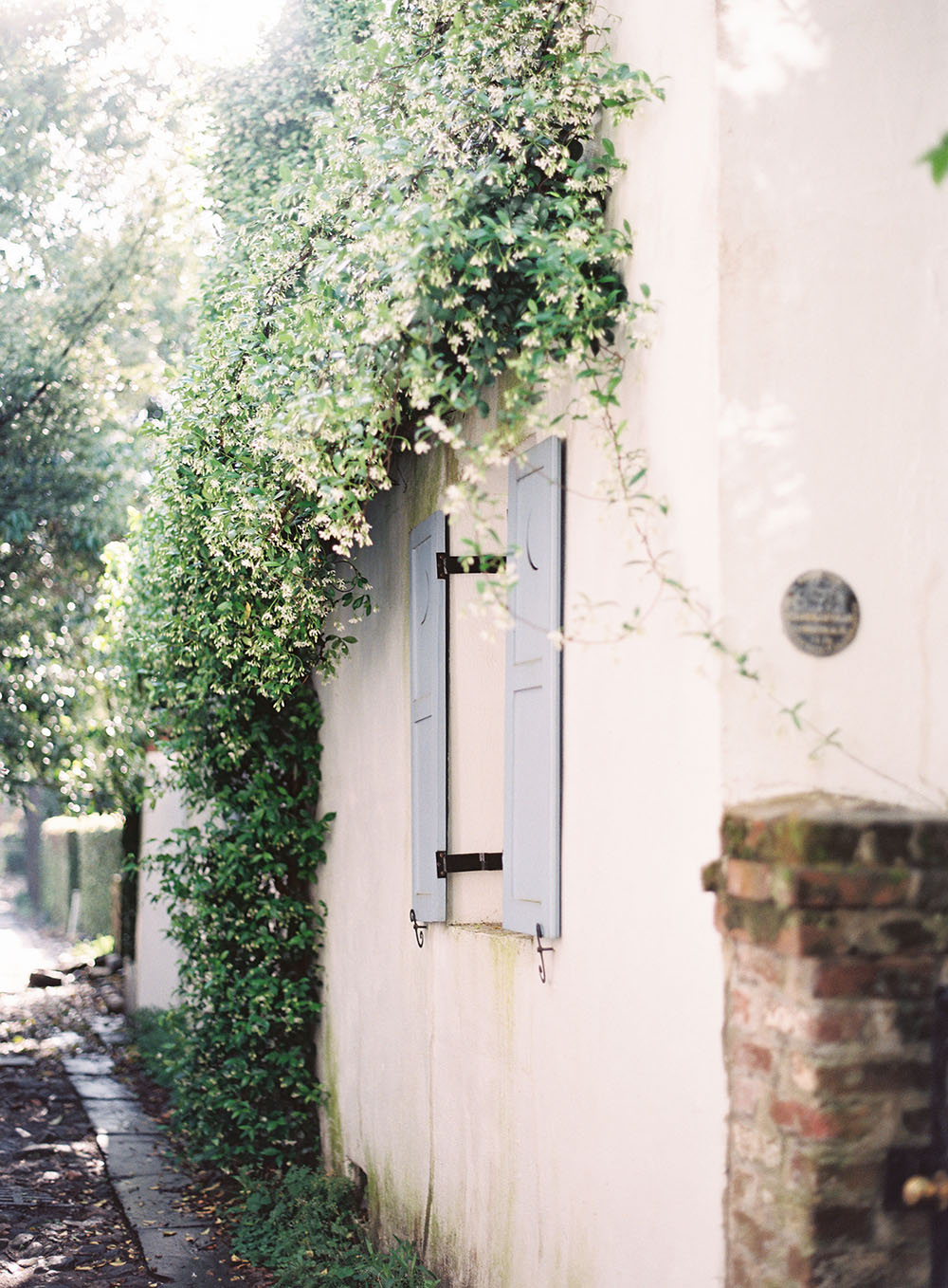 Jasmine climbing a small house with blue shutters in the historic district of Charleston, SC