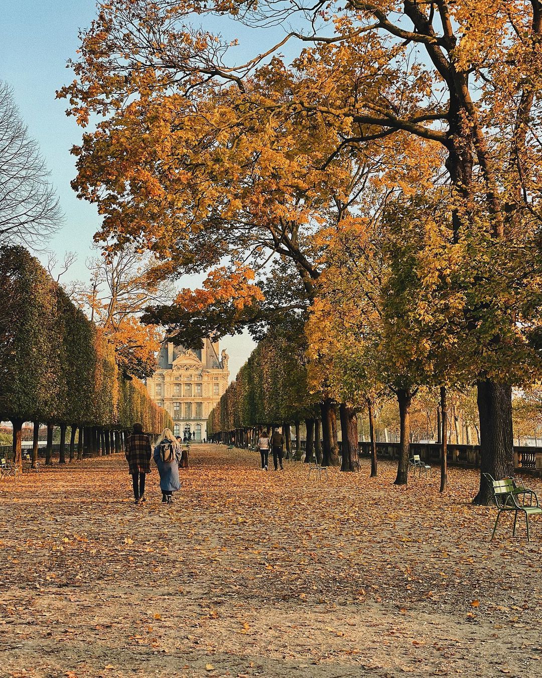 Jardin des Tuileries covered in autumn leaves