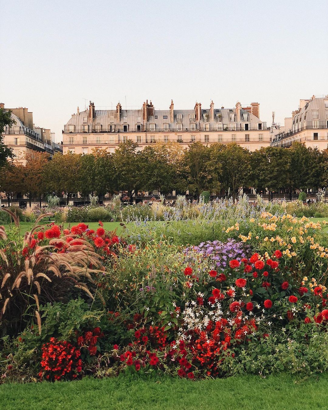 The colorful wildflowers in red, purple, yellow and blue shades at Jardin des Tuileries